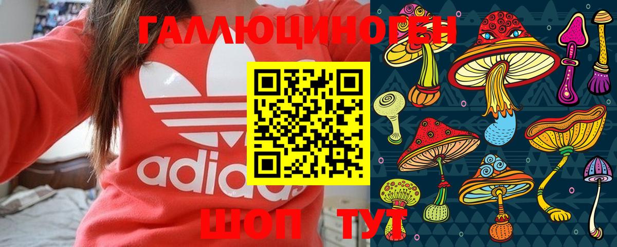 Галлюциногенные грибы Magic Shrooms  Вход с VPN  Галлюциногенные грибы ЛСД  Искитим 